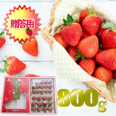 y JA F{z ̂()800gyzsnFzy1521998zF{Fs28000ʕEt[c
