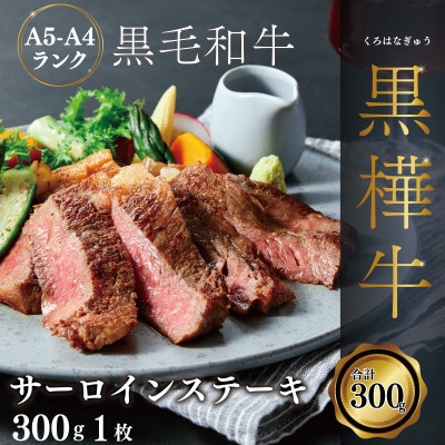 A4 A5等級 肉厚 サーロインステーキ 300g×1P 黒毛和牛 【杉本本店】(宇城市)【配送不可地域:離島】【1544173】熊本県宇城市21000肉牛肉