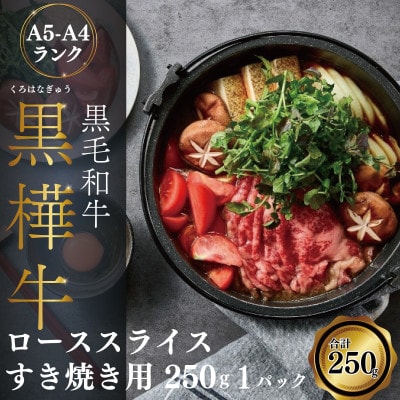 A4 A5等級 ローススライス すき焼き用 250g×1P 黒毛和牛 【杉本本店】(宇城市)【配送不可地域:離島】【1544177】熊本県宇城市17000肉牛肉