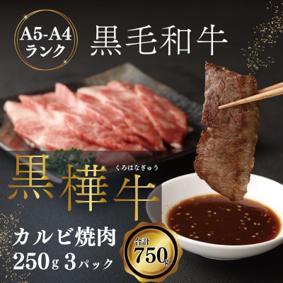 焼き肉 黒毛和牛 カルビ 計約750g(約250g×3P)【杉本本店】(宇城市)【配送不可地域:離島】【1544181】熊本県宇城市34000肉牛肉
