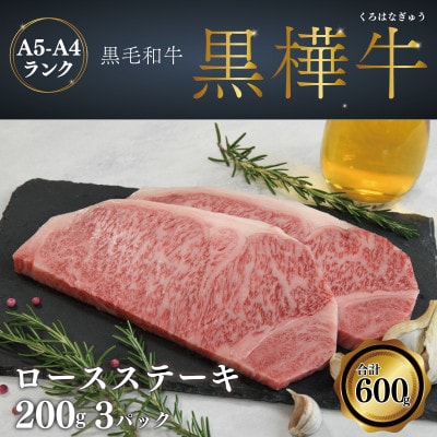 A4 A5 [XXe[L v600g (200g×3P)јa y{{Xz(Fs)yzsnFzy1544198zF{Fs34000