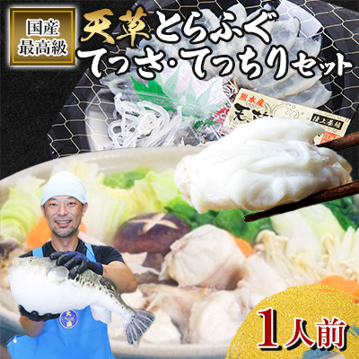 1日25セット限定!天草とらふぐてっさ・てっちりセット(1人前)(宇城市)【配送不可地域:離島】【1550032】熊本県宇城市18000魚介・海産物鮮魚