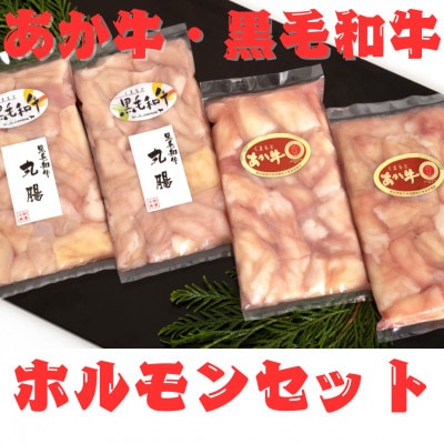 熊本県産黒毛和牛(丸腸)200g×2個・あか牛(小腸)200g×2個 ホルモン合計800g(宇城市)【配送不可地域:離島】【1554030】熊本県宇城市20000肉牛肉