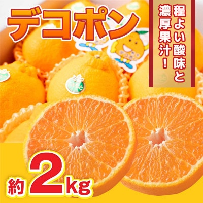 y2025N2{菇zF{Y fR| 2kg(Fs)y1562158zF{Fs15000ʕEt[c݂Ek