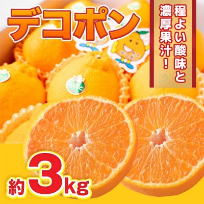 【2024年12月より順次発送】熊本県産 デコポン 約3kg(宇城市)【1562163】熊本県宇城市19000果物・フルーツみかん・柑橘類