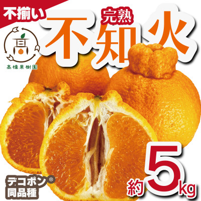 【先行予約!2026年2月上旬から順次発送】完熟 不知火 約5kg(20玉〜30玉)  サイズ不揃い【1567822】熊本県宇城市13000果物・フルーツみかん・柑橘類