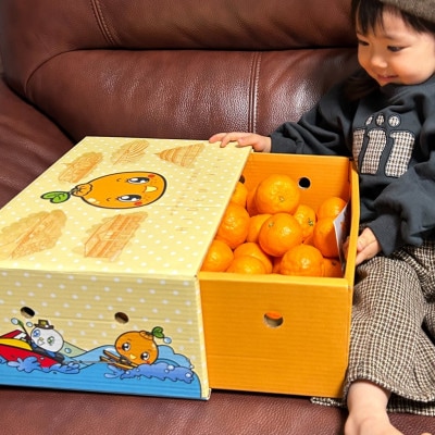 不知火 約3.5kg(15個前後)【1577691】熊本県宇城市19000果物・フルーツみかん・柑橘類