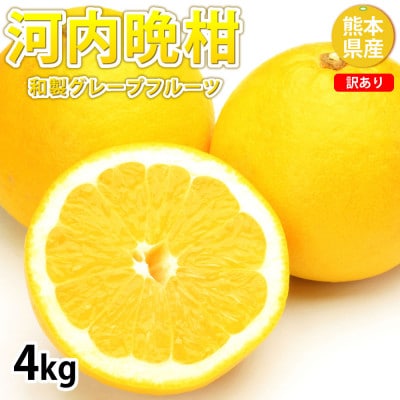訳あり 河内晩柑 みかん 4kg【2026年3月下旬から2026年6月下旬発送予定】(宇城市)【1589338】熊本県宇城市11000果物・フルーツみかん・柑橘類