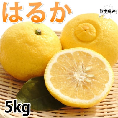 はるか みかん 5kg【2026年1月下旬から2026年4月下旬発送予定】(宇城市)【1590155】熊本県宇城市15000果物・フルーツみかん・柑橘類