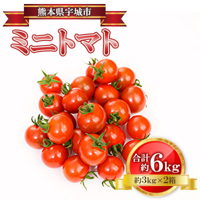 ミニトマト 約3kg×2箱 合計約6kg【2025年2月上旬から2025年4月下旬発送予定】【配送不可地域:離島】【1592697】熊本県宇城市20000野菜・きのこトマト