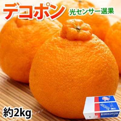 デコポン 光センサー選果 約2kg(宇城市)【1600224】熊本県宇城市18000果物・フルーツみかん・柑橘類