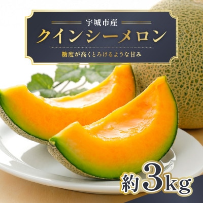 熊本産クインシーメロン2玉約3kg(宇城市)【配送不可地域:離島】【1612843】熊本県宇城市15000果物・フルーツメロン・スイカ