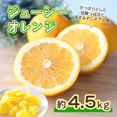 熊本産ジューシーオレンジ4.5kg(宇城市)【配送不可地域:離島】【1613663】熊本県宇城市15000果物・フルーツみかん・柑橘類