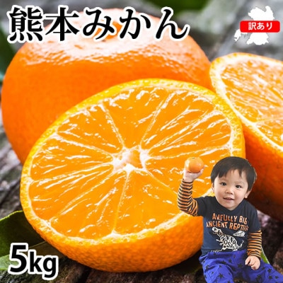 訳あり みかん 計5kg【2025年10月上旬から2026年2月下旬発送予定】(宇城市)【配送不可地域:離島】【1614599】熊本県宇城市12000果物・フルーツみかん・柑橘類