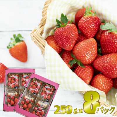 先行予約!2026年2月より順次発送 いちご 恋のぞみ約2kg(250g×8P)【JA熊本うき】【配送不可地域:離島】【1659532】熊本県宇城市18000果物・フルーツいちご