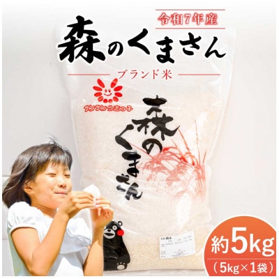 【 JA 熊本うき】令和7年産 新米 森のくまさん5kg★【1669375】熊本県宇城市19000米・パン白米