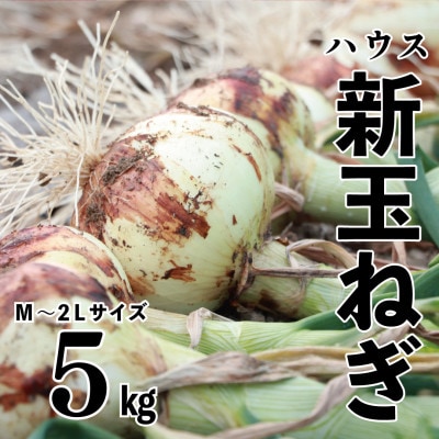 先行予約 新玉ねぎ 5kg 訳あり M〜2L混合【2026年2月中旬〜3月上旬発送】【1674219】熊本県宇城市10000野菜・きのこ玉ねぎ・ねぎ