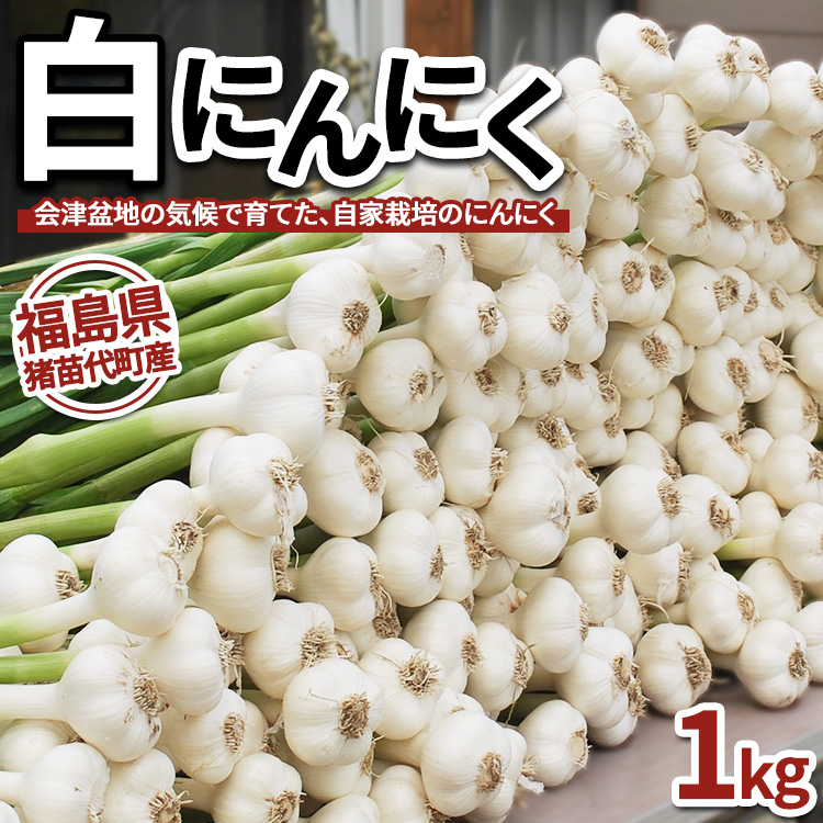 yʌzɂɂ 1kg Y cY@Aւ̔zs@2025N9{菇\蕟c㒬14000؁Ê̑ 