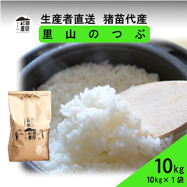 yߘa7NxY Vė\z  R̂ 10kg(10kg×1)   2025N11{菇\ Eւ̔zsc㒬31000āEp