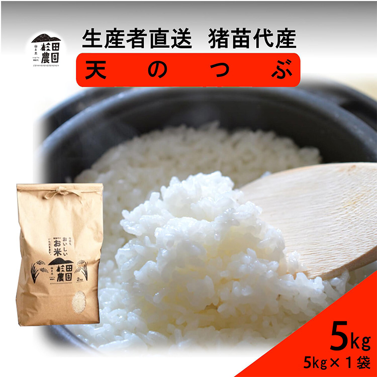 【令和7年度産 新米予約】 米 天のつぶ 5kg 白米 精米 ※2025年11月下旬頃より順次発送予定 ※沖縄・離島への配送不可福島県猪苗代町19000米・パン白米