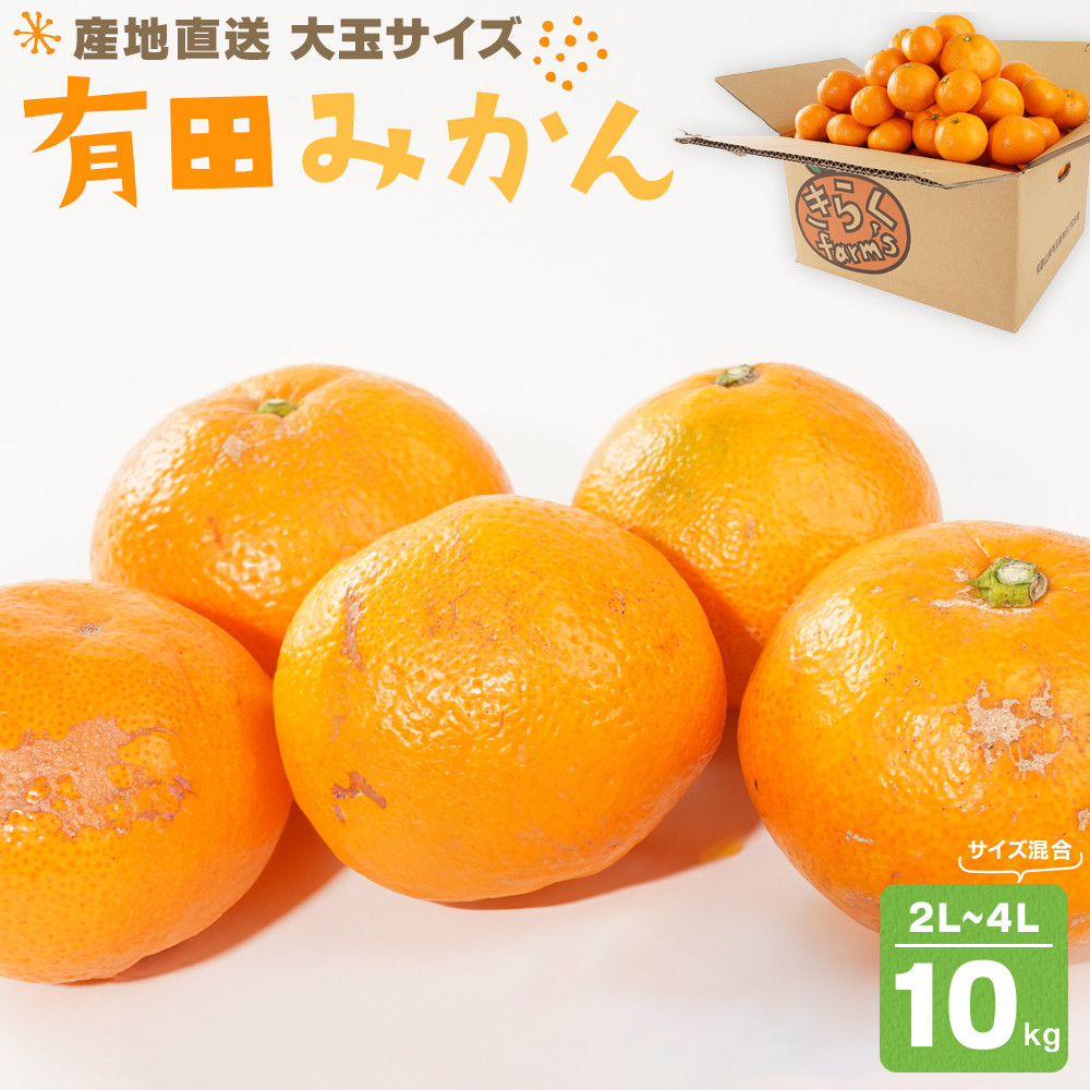 産地直送 有田みかん 大玉サイズ 2L〜4L サイズ混合 約10kg 喜楽farms 【2025年12月以降順次発送】和歌山県有田川町11000果物・フルーツみかん・柑橘類