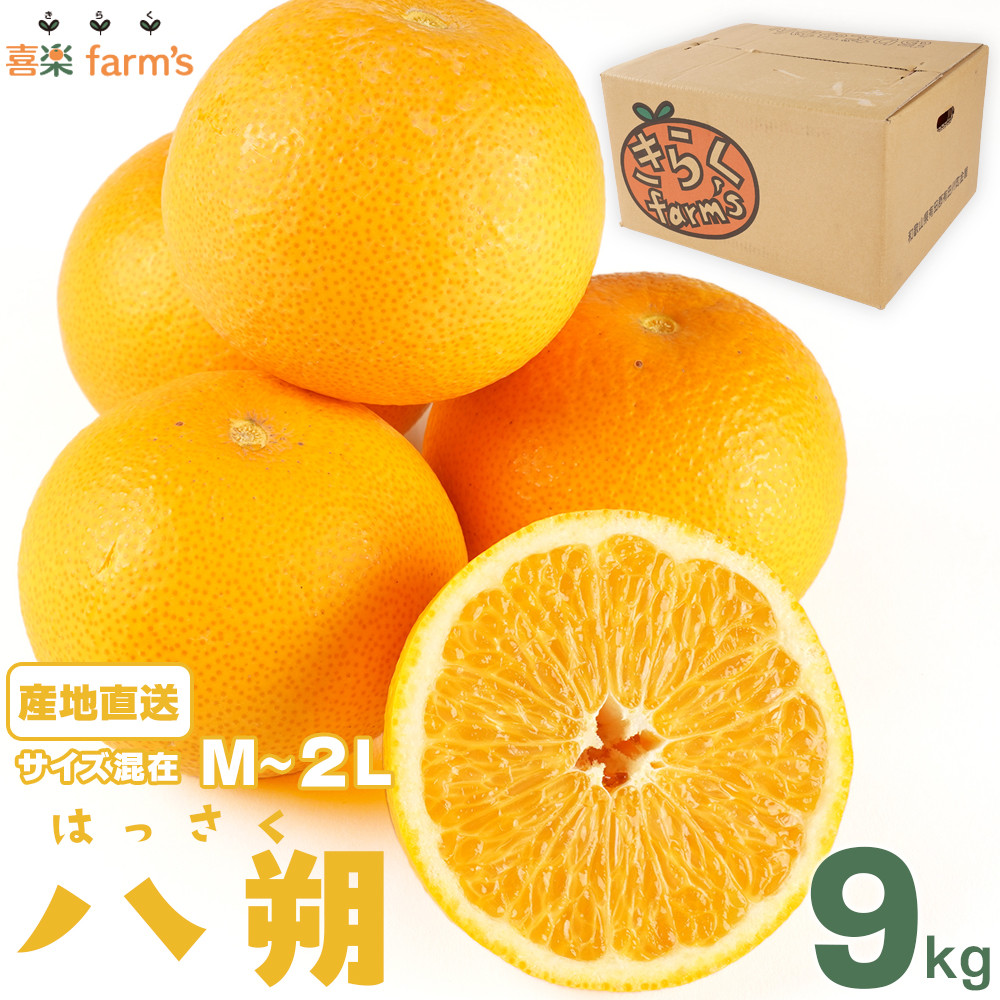 yYnz񁙃TCYځiM`QLj9kga̎RLc쒬12000ʕEt[c݂Ek