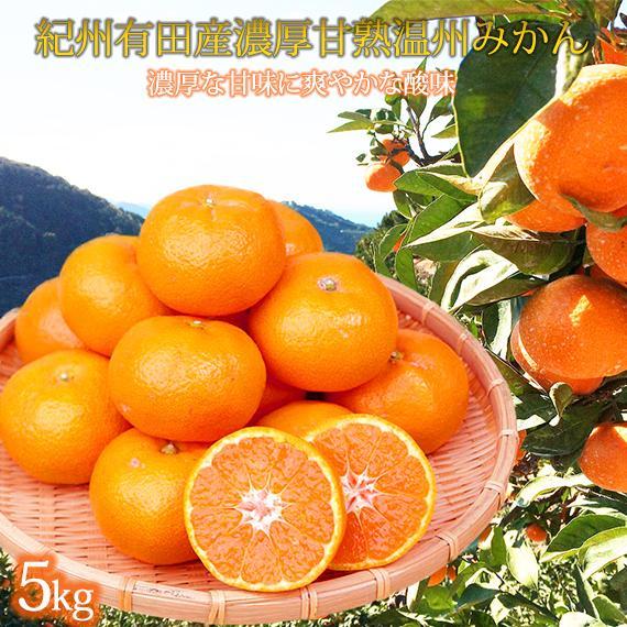 季節の柑橘定期便(みかん・不知火・せとか) 全3回 【1・2・3月発送】和歌山県有田川町45000果物・フルーツみかん・柑橘類