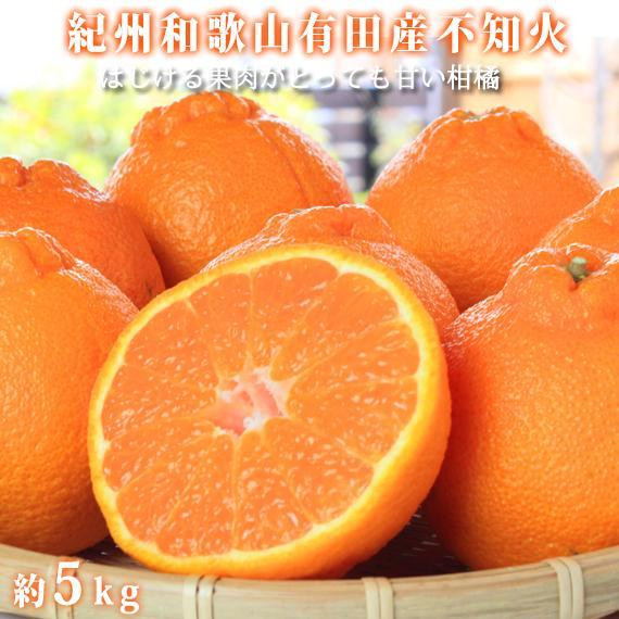 【2・8・9・12月 全4回】紀州産 巨峰とフルーツ定期便(巨峰・梨・みかん・不知火) 【魚鶴商店】和歌山県有田川町57000果物・フルーツみかん・柑橘類