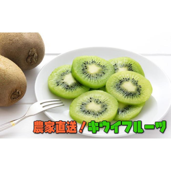 【先行予約】【大人気】農家直送!濃厚キウイフルーツ 約3kg和歌山県有田川町9500果物・フルーツその他 果物・フルーツ