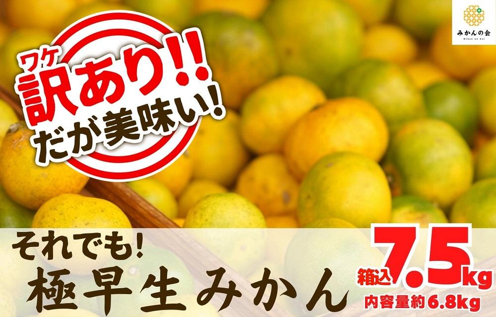訳あり 極早生 箱込 7.5kg (内容量約 6.8kg) サイズミックス 有田みかん 和歌山県産 【みかんの会】和歌山県有田川町9000果物・フルーツみかん・柑橘類