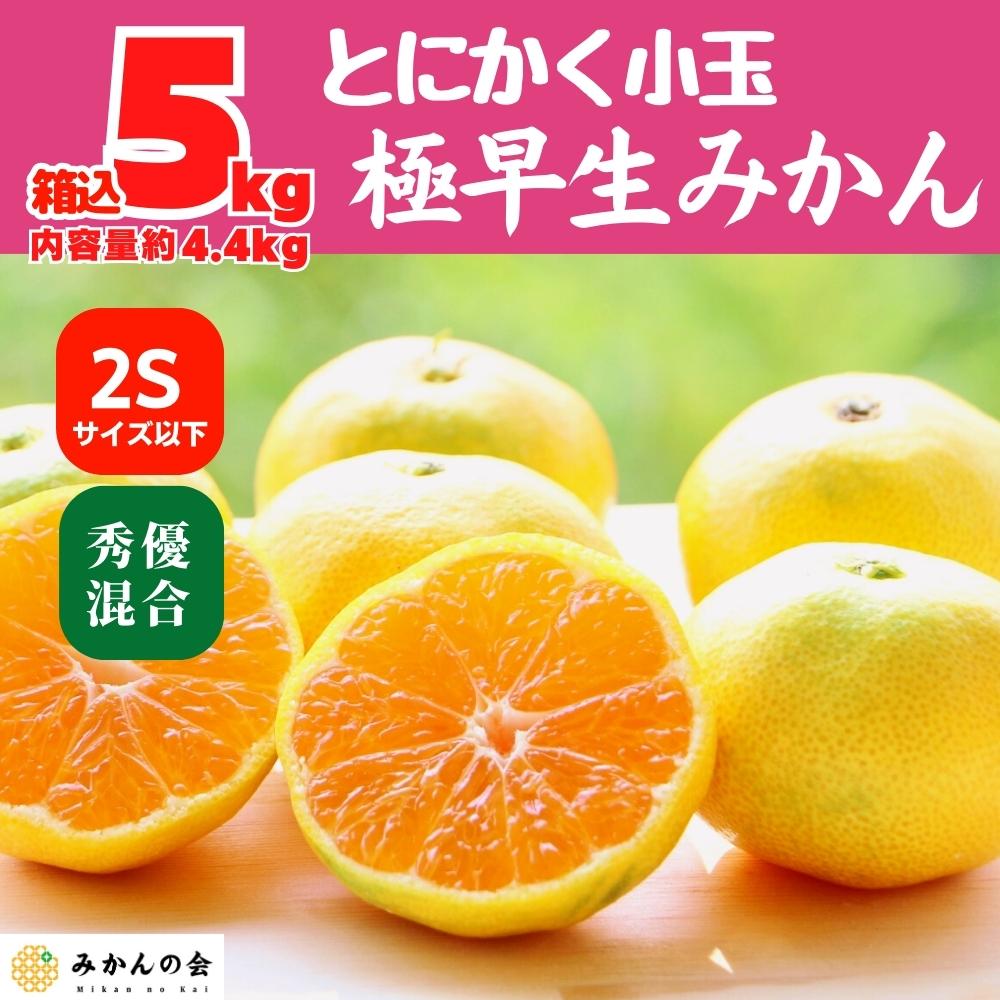 小玉みかん 極早生 箱込 5kg (内容量約 4.4kg) 2Sサイズ以下 秀品 優品 混合 有田みかん 和歌山県産 【みかんの会】和歌山県有田川町8000果物・フルーツみかん・柑橘類