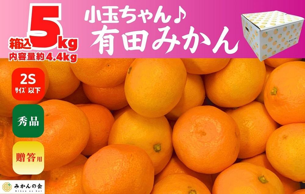 みかん 小玉ちゃん 箱込 5kg ( 内容量約 4.4kg ) 2S サイズ以下 秀品 有田みかん 和歌山県産 産地直送 贈答用 【みかんの会】和歌山県有田川町10000果物・フルーツみかん・柑橘類