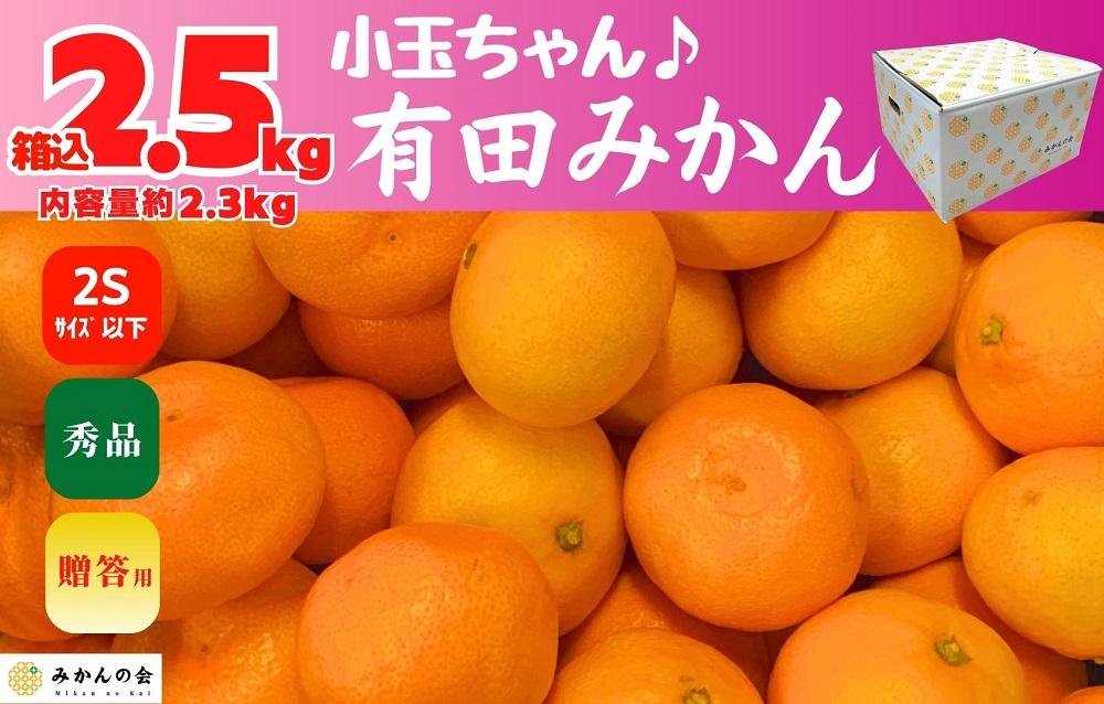 みかん 小玉ちゃん 箱込 2.5kg ( 内容量約 2.3kg ) 2S サイズ以下 秀品 有田みかん 和歌山県産 産地直送 贈答用 【みかんの会】和歌山県有田川町7000果物・フルーツみかん・柑橘類