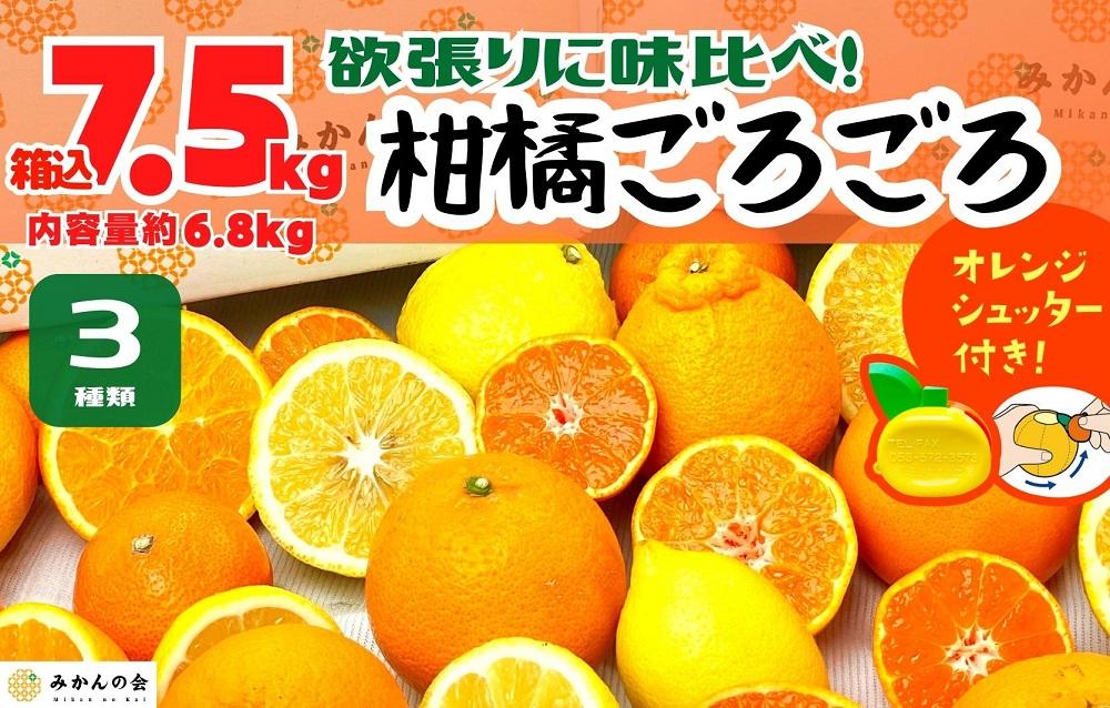 旬の柑橘食べ比べ 柑橘ごろごろ 3種 箱込 7.5kg(内容量約 6.8kg) 秀品 優品 混合 和歌山県産 産地直送 【おまけ付き】【みかんの会】和歌山県有田川町14000果物・フルーツみかん・柑橘類