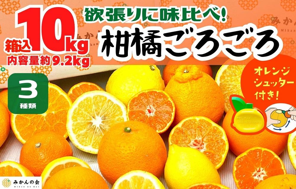 旬の柑橘食べ比べ 柑橘ごろごろ 3種 箱込 10kg(内容量約 9.2kg) 秀品 優品 混合 和歌山県産 産地直送 【おまけ付き】【みかんの会】和歌山県有田川町17000果物・フルーツみかん・柑橘類