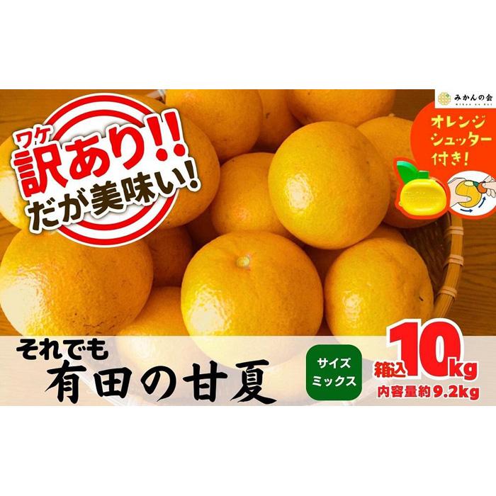 󂠂 ł É  10kg (eʖ9.2kg)  TCY~bNX Yn ƒp ނtm݂̉na̎RLc쒬13000ʕEt[c݂Ek