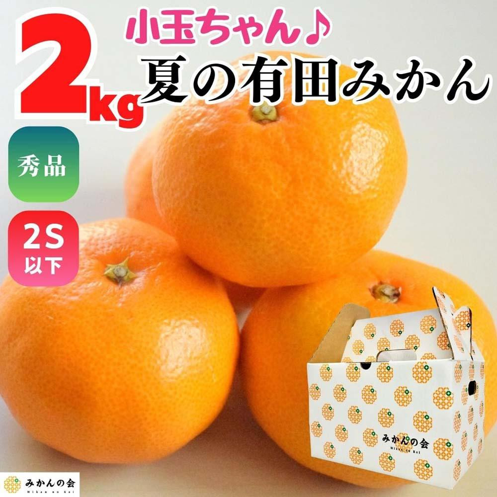【お中元】小玉ちゃん ハウスみかん 温室栽培 夏の有田みかん約2kg 秀品 2Sサイズ以下 和歌山県 産地直送 みかんの会 【7月上旬〜8月上旬に順次発送】和歌山県有田川町19000果物・フルーツみ