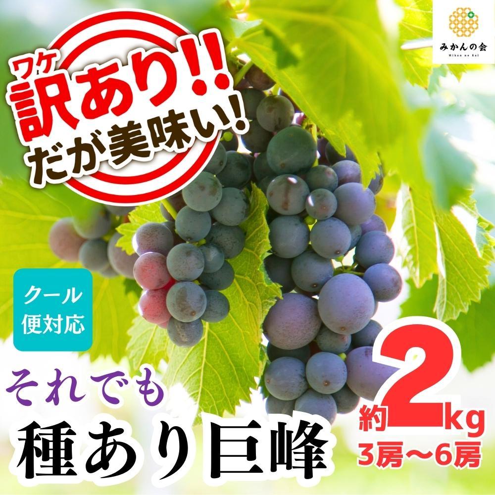 󂠂 ł   2kg ( 3[ ` 6[ ) a̎RY  ỷ݂za̎RLc쒬14000ʕEt[c}XJbgEԂǂ