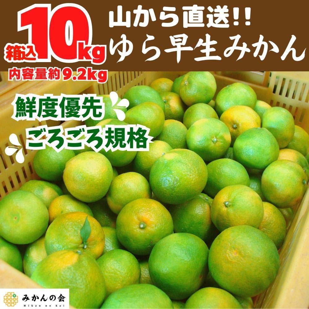 ゆら早生 みかん 山から直送 箱込 10kg (内容量 9.2kg) 採れたてそのままごろごろ規格 有田みかん 和歌山県産 【みかんの会】和歌山県有田川町16000果物・フルーツみかん・柑橘類