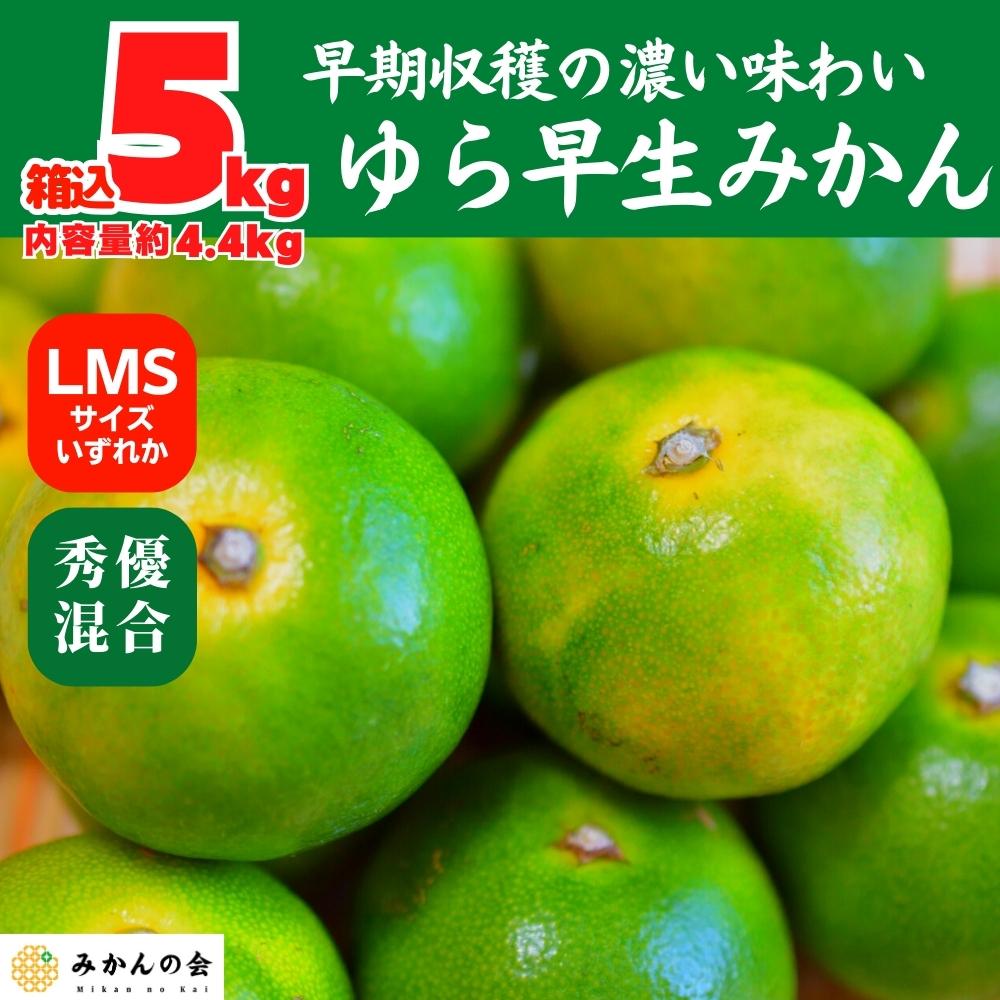 ゆら早生 みかん 箱込5kg(内容量 4.4kg) SMLサイズのいずれか 秀品 優品 混合 有田みかん 和歌山県産 【みかんの会】和歌山県有田川町10000果物・フルーツみかん・柑橘類
