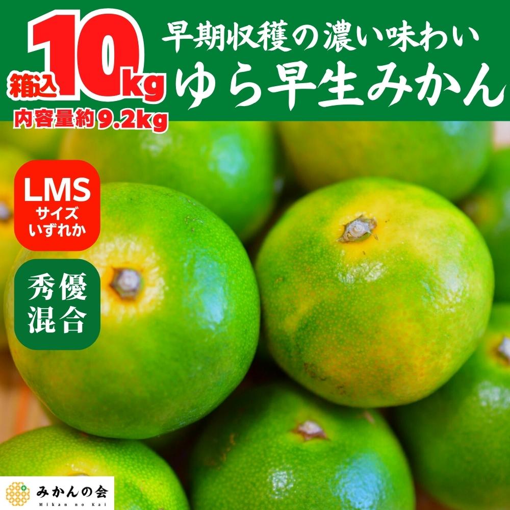 ゆら早生 みかん 箱込10kg (内容量 9.2kg)  SMLサイズのいずれか 秀品 優品 混合 有田みかん 和歌山県産 【みかんの会】和歌山県有田川町19000果物・フルーツみかん・柑橘類