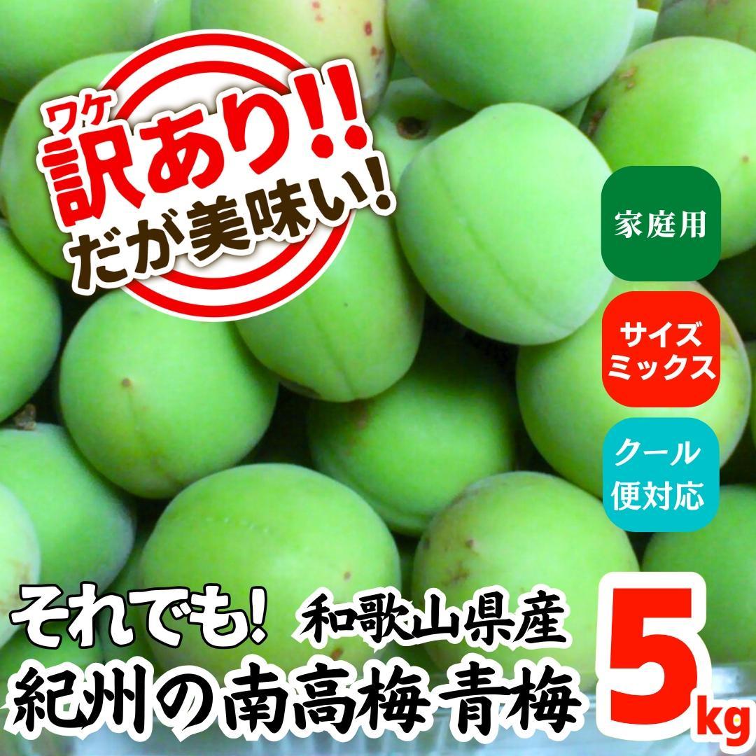 [2025N6{o]~ 썂~ 5kg 󂠂 TCY~bNX a̎RY Ai ~p ~W[Xpa̎RLc쒬16000؁Ê̑ 