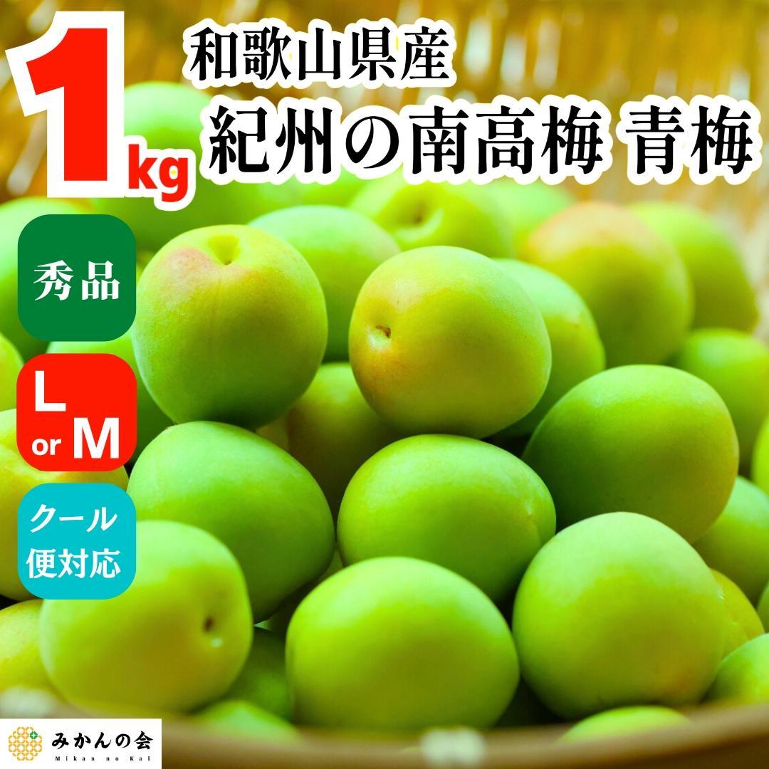 [2025N6{o] ~ 썂~ 1kg Gi L܂MTCY a̎RY Ai ~p ~W[Xpa̎RLc쒬8000؁Ê̑ 