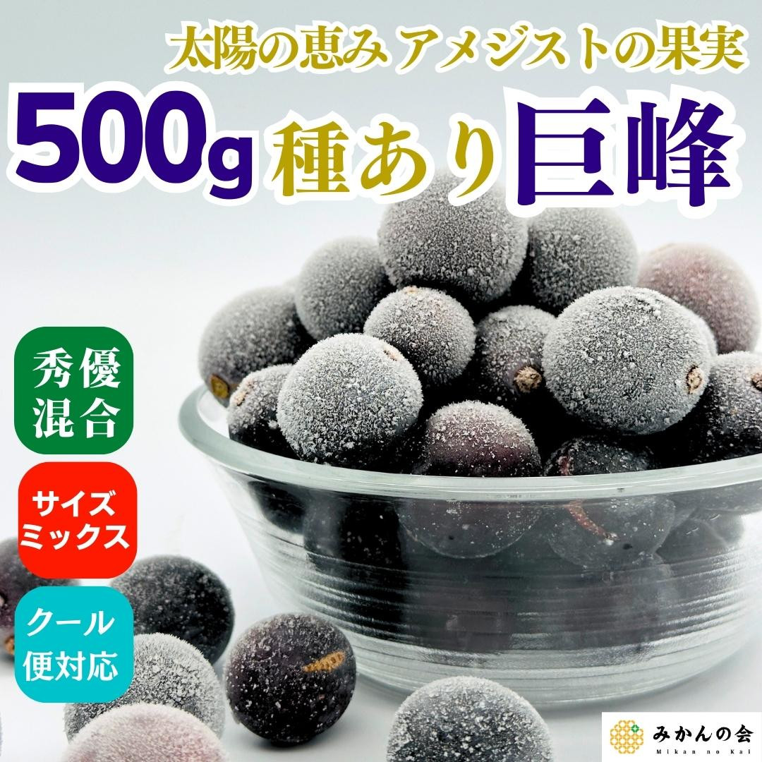 冷凍 種あり 巨峰 約500g 秀優混合 サイズミックス 和歌山県産 産地直送 ぶどう クール便  【みかんの会】和歌山県有田川町5000果物・フルーツマスカット・ぶどう