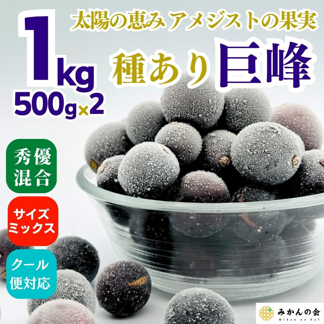 冷凍 種あり 巨峰 約1kg 秀優混合 サイズミックス 和歌山県産 産地直送 ぶどう クール便  【みかんの会】和歌山県有田川町8000果物・フルーツマスカット・ぶどう