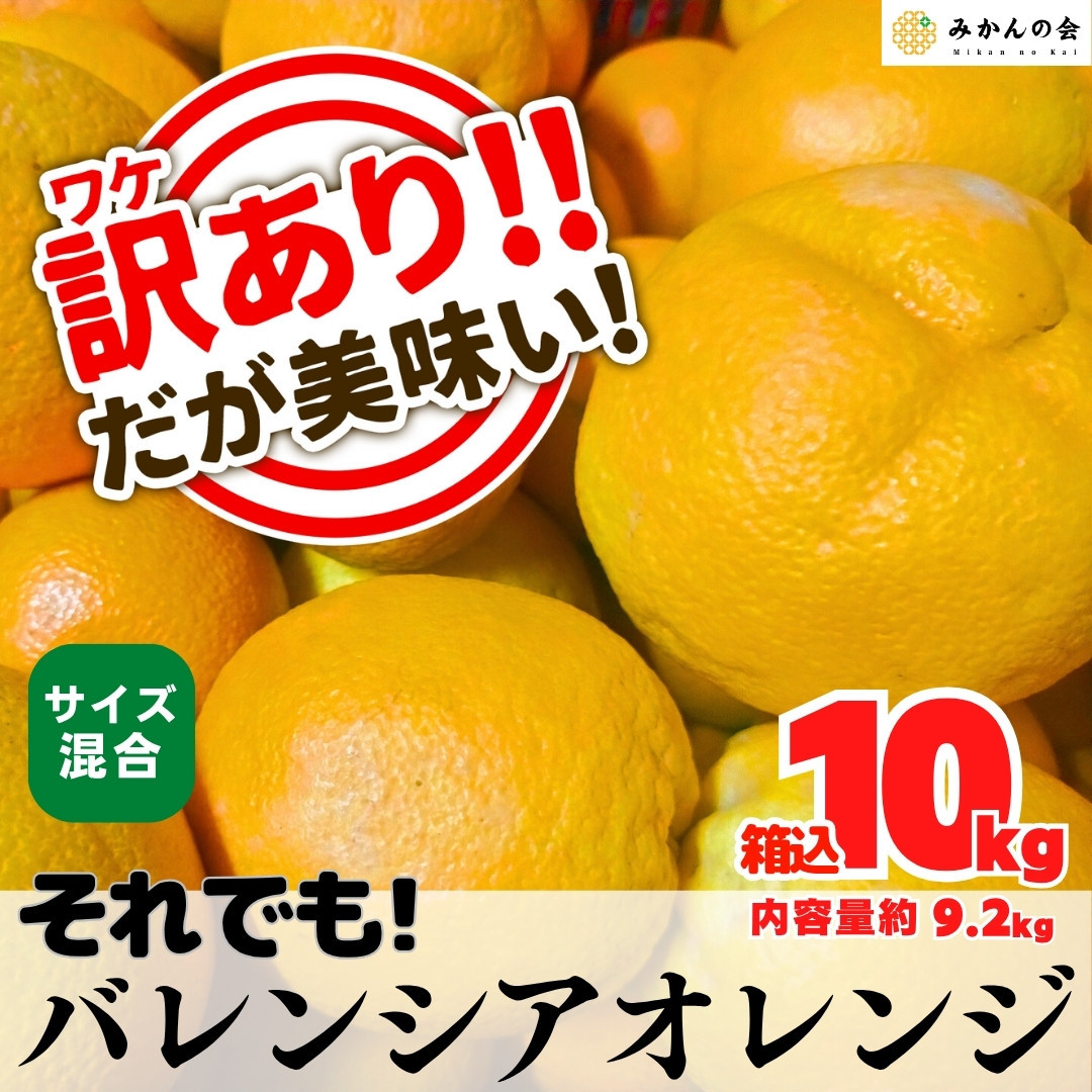 訳あり バレンシアオレンジ  国産 箱込 10kg (内容量 9.2kg ) サイズミックス 和歌山県産 産地直送 みかんの会和歌山県有田川町19000果物・フルーツみかん・柑橘類