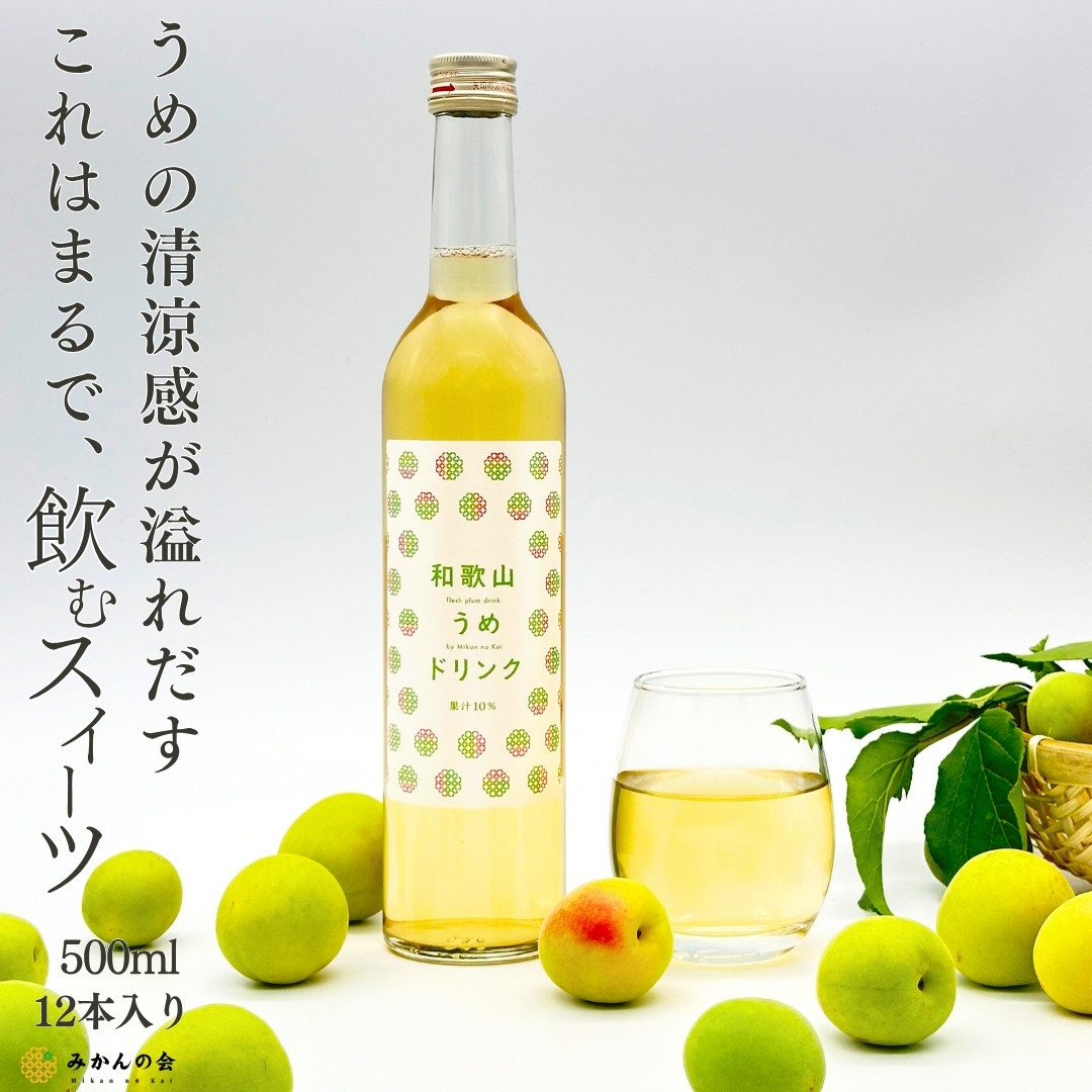 和歌山のうめドリンク 500ml × 12本  和歌山産 紀州の梅使用 無添加 ストレート 【みかんの会】和歌山県有田川町33000お茶・飲料果汁・野菜飲料