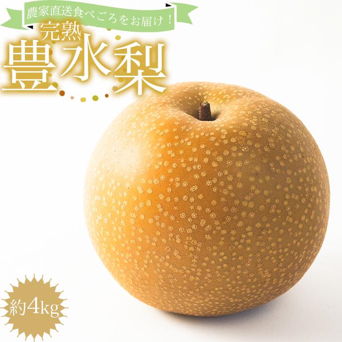 農家直送食べ頃をお届け!豊水梨 約4kg和歌山県有田川町15500果物・フルーツりんご・梨