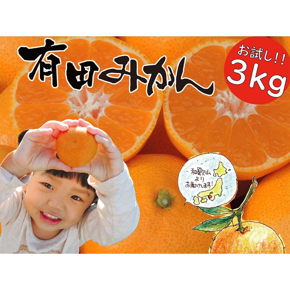 mst2025N11`n͂߂܂ Lc݂   3kg a̎RY / ORYYa̎RLc쒬8000ʕEt[c݂Ek