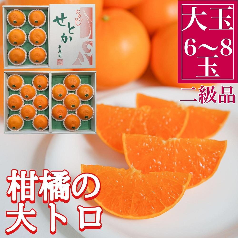   k̑g nEX Ƃ  6 ` 8ʓ ϔ ׉a̎RLc쒬22000ʕEt[c݂Ek